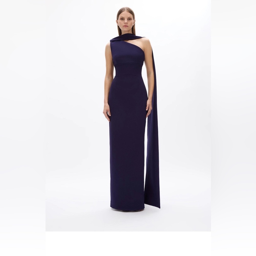 NWOT $1200 MRPs Rachel Gilbert Clara dress in dark indigo size 8 - Picture 11 of 17